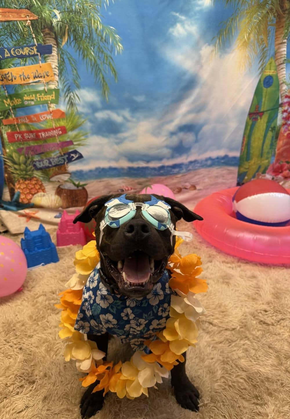 porter-road-per-care-aloha-party